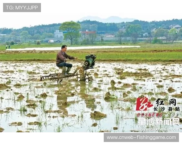 徐和东邀市民游木桥村：田园风光配土鸡汤，尽享秋韵