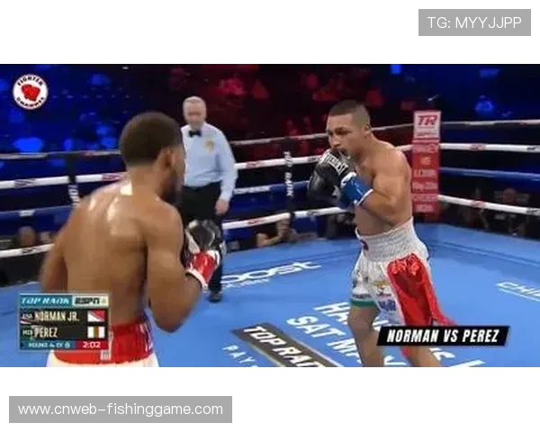 哈尼、诺曼赛后技术统计公布，刺拳命中率定胜负